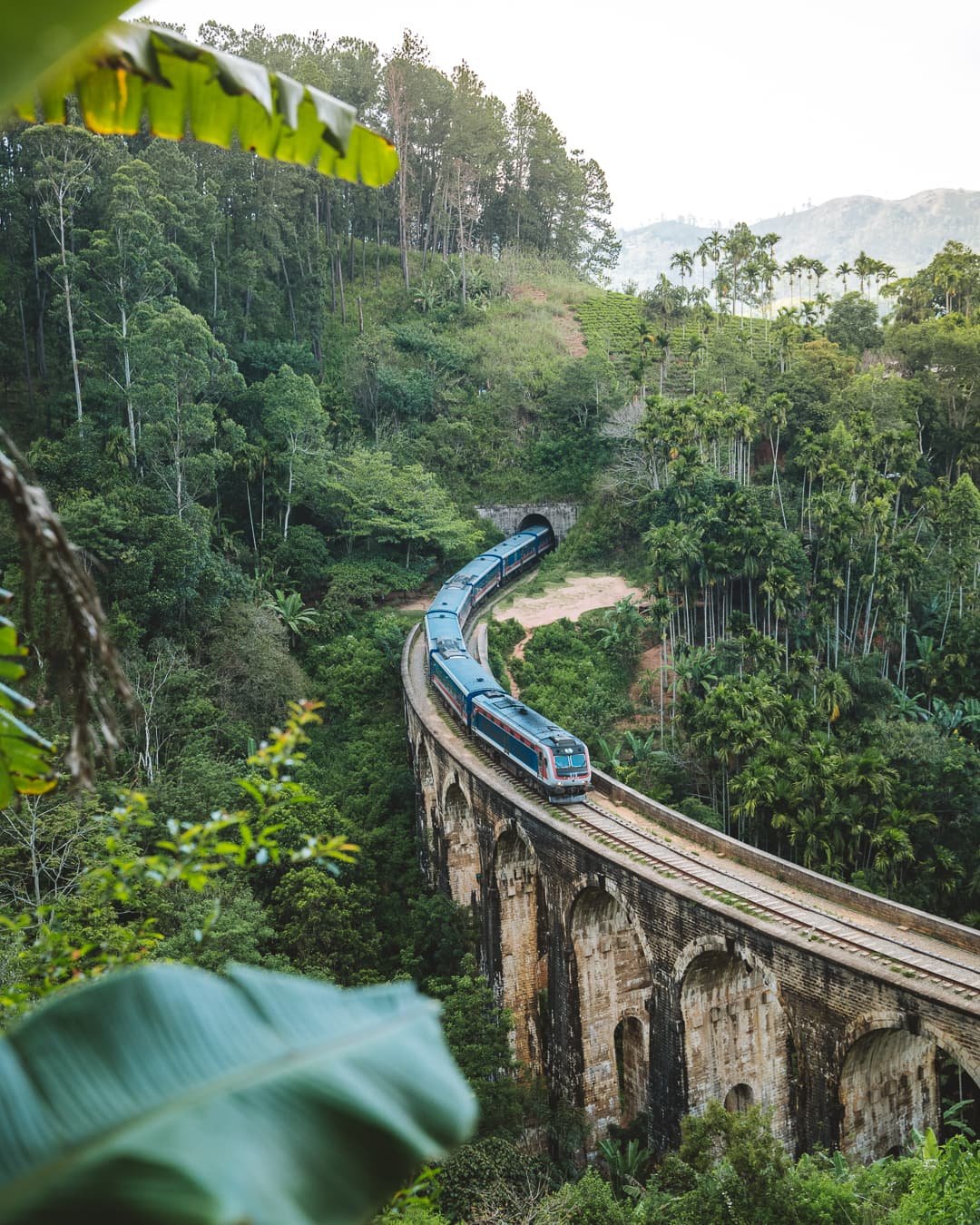 Kandy to Ella Train Journey: The World's Most Scenic Rail Ride - Sri Lanka Travel Blog