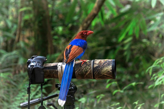 Sinharaja Forest Reserve - Top Tourist Destination in Sri Lanka