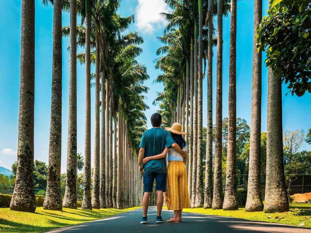 10 Days Sri Lanka Grand Tour - Cultural Sri Lanka Tour Package
