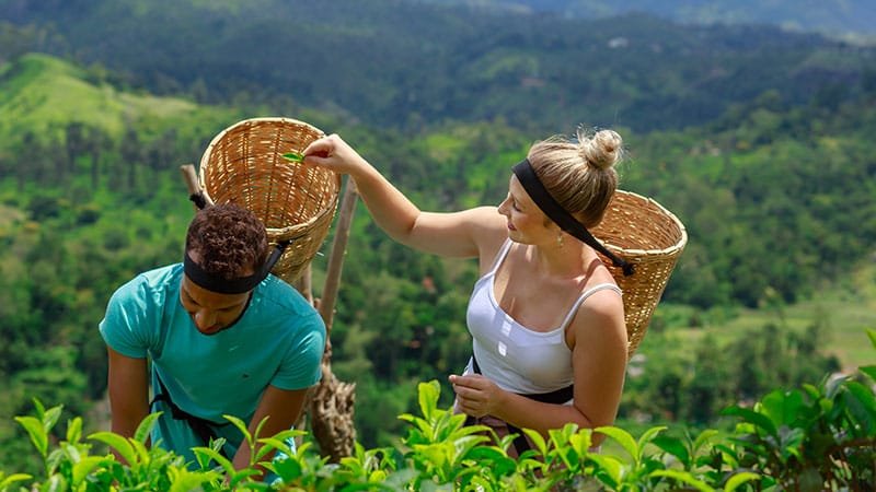 Family Holidays Sri Lanka
